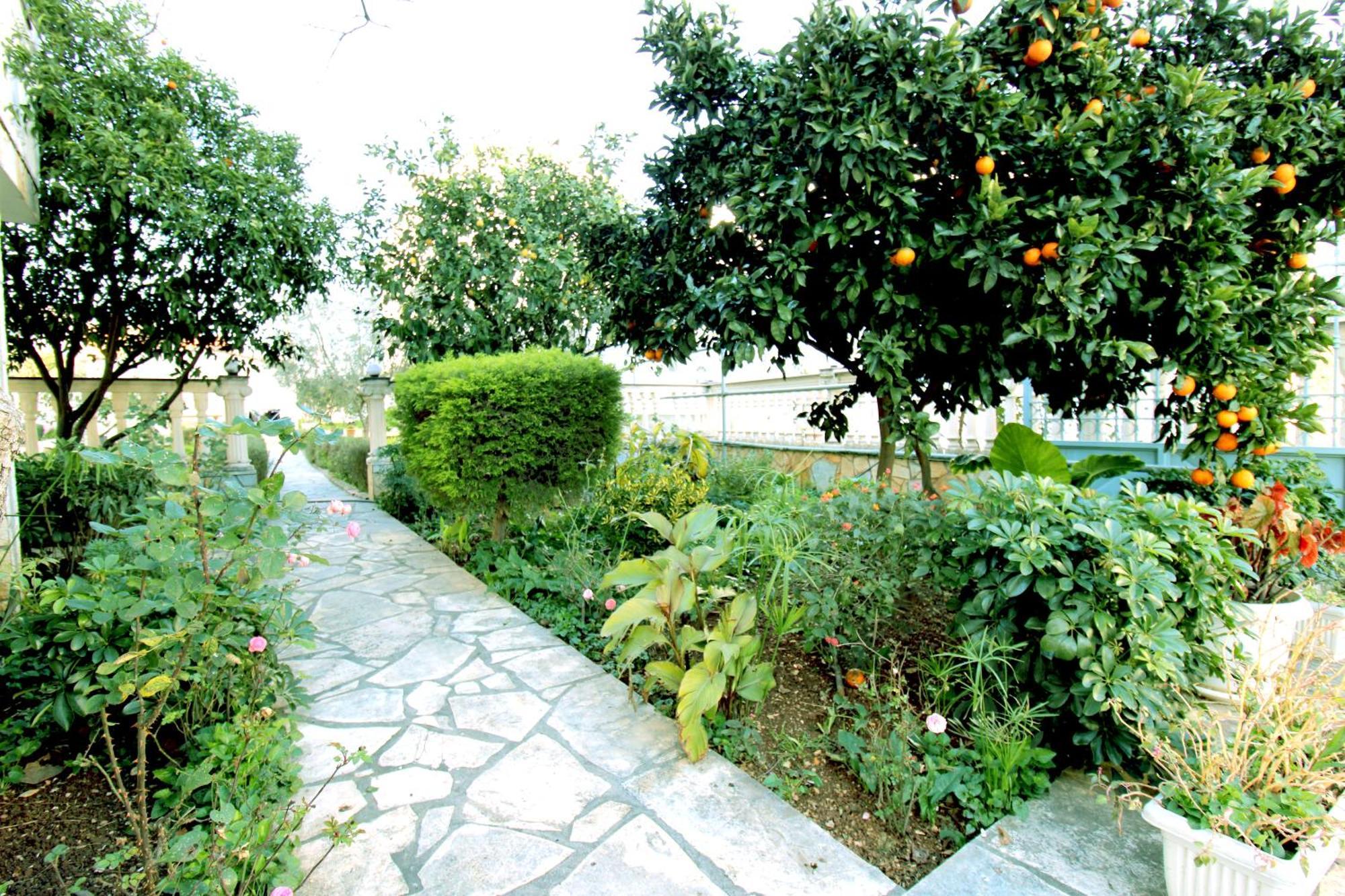Garden Villa Dhesara คซามิล ภายนอก รูปภาพ